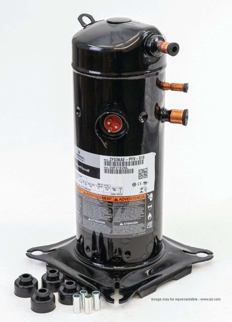 のぶ様 ZF03KAEPFV818_B.jpg