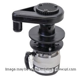 000013418 product photo