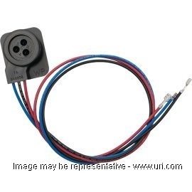 529006005 product photo