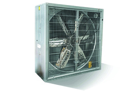 FE82 product photo