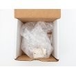 2271128 product photo Image BOX S