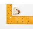 2271128 product photo Image 3 S