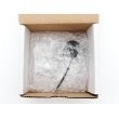 2291048 product photo Image BOX S