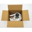 66649 product photo Image BOX S
