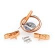 KT43VCP100 product photo Image 2 S